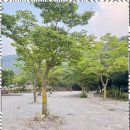 마이산 가자캠핑장 이미지