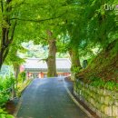 영모암(永慕菴) 네이버블로그