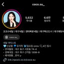 코코수 이미지