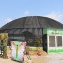 여주곤충박물관 이미지