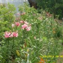 우리들농장(소) 이미지