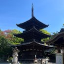 곡성-089 | 일본 소도시 마쓰야마 이시테지 신사 | 도고온천 근처 문화제 비밀동굴