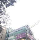 비쥬미용실 이미지