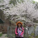 활터약수터 이미지