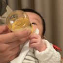 파코라반베이비 현대백화점(판교) | 판교 현대백화점 베이비라운지 사용후기(유모차대여 및 수유용품 풀세팅완!)