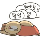 (주)셀러잡 네이버블로그