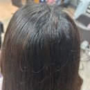 뿌리염색 잘하는 마포도화동미용실 보보헤어(BOBO Hair)