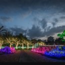 다미진횟집 이미지