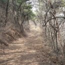 난지2리마을회관 이미지