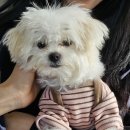 카페하일 이미지