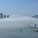 (주)흰여울 이미지