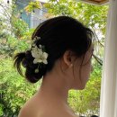 헤어아트 | W16. 헤어변형 아트원영 촬영 후기
