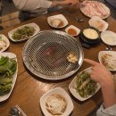 홍고집 이미지