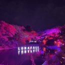 수정카서비스 | 제주도승합차투어 렌트카 없이 떠난 솔직 후기