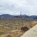 사방공인중개사사무소 이미지