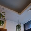 선은식농장 이미지