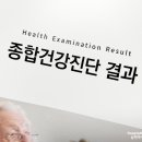 비맥스 메타 정 남대문 평화약국 실제 내돈내산 합리적인 가격 구매 후기