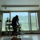 삽목했던 포인세티아 근황 & 임대아파트 전망 좋은 집