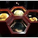 우석헌자연사박물관 이미지