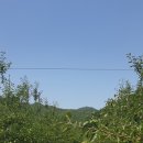 좌운농원