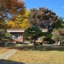 소천월가 이미지