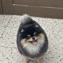 제일미용상사 이미지