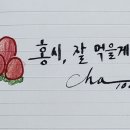 감나무집.홍시 이미지