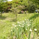 충주금릉초등학교 이미지