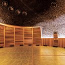 아쿠아필드 고양 이미지