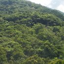 서동계곡 상류 이미지