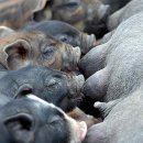 꽃보다아름다운당신 이미지