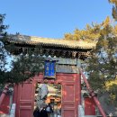 우정주유소 | 3박4일 베이징 우정여행 2일차 홍투어 이화원 무텐위 만리장성 내돈내산으로 다녀왔어요!