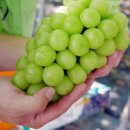 훈민농장 이미지