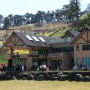 푸른들목장 이미지