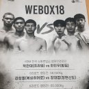 수원동양복싱 이미지