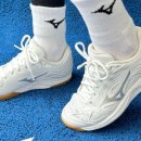 스피드 질 카카오 검색결과