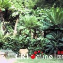 청산정원 이미지