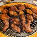 신마포네 이미지