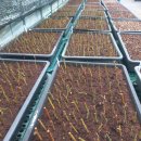 용토목장 이미지