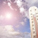 경희대무학태권도장 이미지