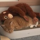 동대노래방 | 어쩌면 나는 첫 순간부터