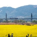 새(금호) 이미지