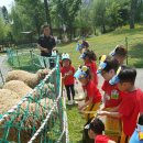 석천목장 이미지