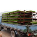 바우농장2 이미지