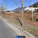 망곡경로당 네이버블로그