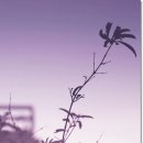 추억속의 이야기 이미지