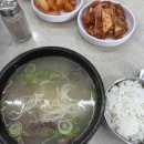 포니앤가리비 - 안양시 동안구 | 사란니 주건니 여태 사랑니