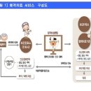 원격진료 이슈, 원격의료관련주 총 출동 이미지