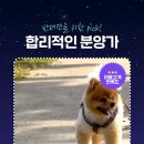 독포유 이미지