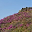 돌고개로 이미지